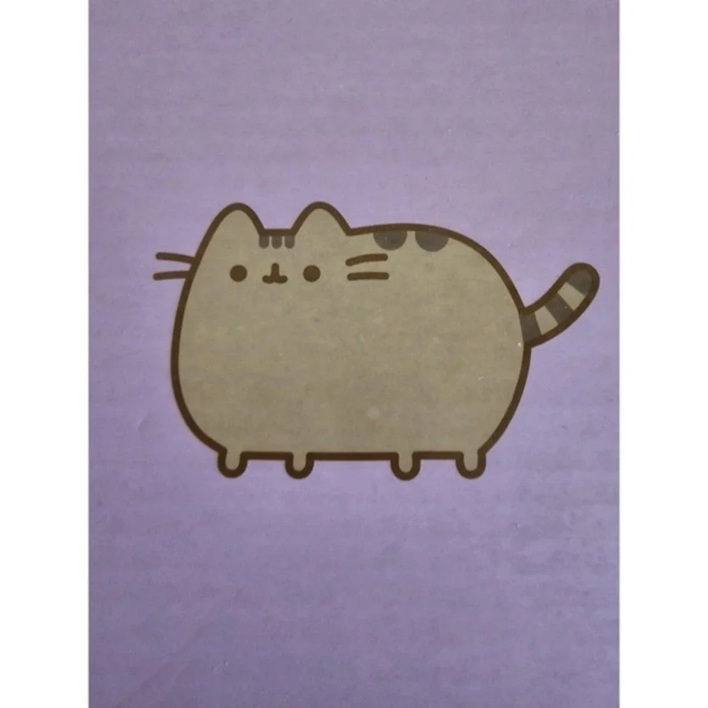 Pusheen Cat Mug, Socks & Keychain Bundle Pink Gift Set New Limited Edition‎ 2025